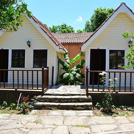 Nova Beach Hotel Sıde - 3* Side