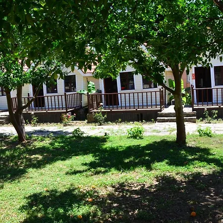 Nova Beach Hotel Sıde - 3*