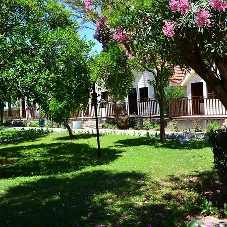 Nova Beach Hotel Sıde - 3*